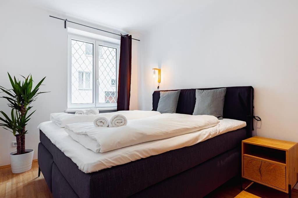 Newly-Renovated, Central City Apartment In The Heart Of וינה מראה חיצוני תמונה